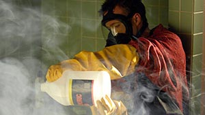 O gato está no saco...