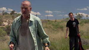 Mordido por uma abelha morta